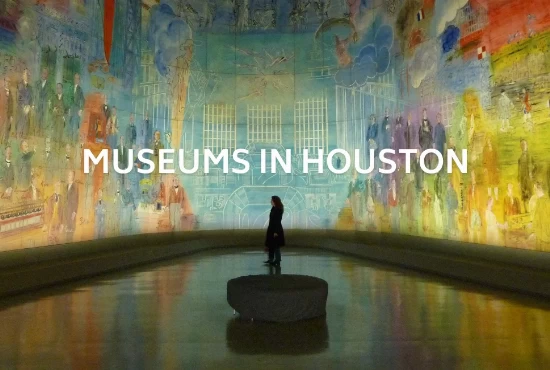Houston museums